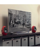 ALTAVOCES ESTANTERIA